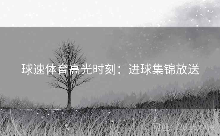 球速体育高光时刻：进球集锦放送  第2张