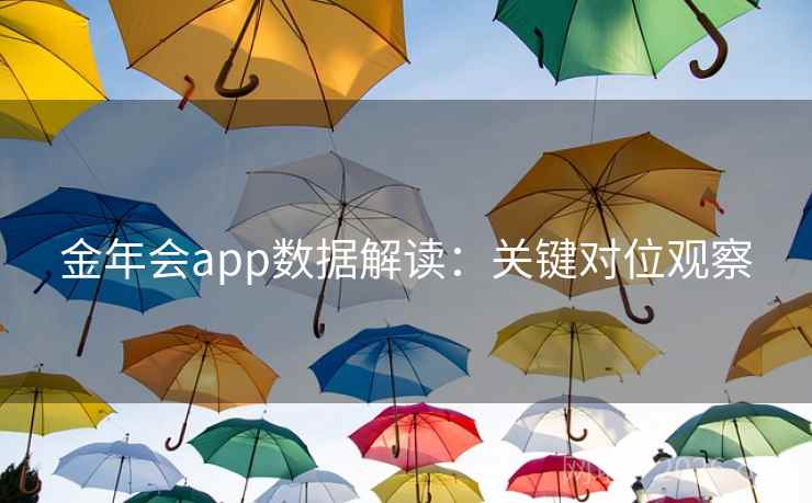 金年会app数据解读：关键对位观察