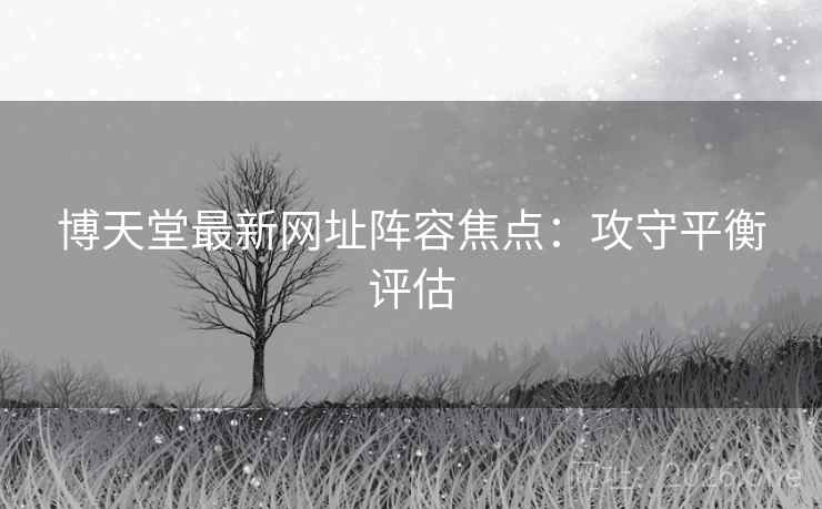 博天堂最新网址阵容焦点：攻守平衡评估  第2张
