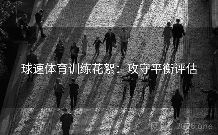 球速体育训练花絮：攻守平衡评估  第2张