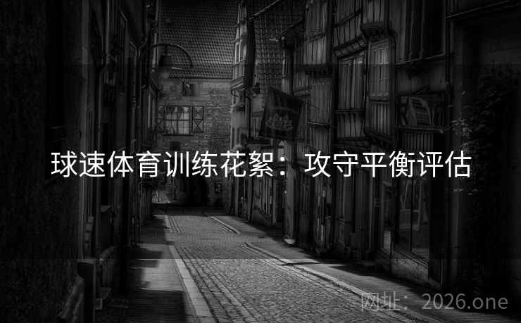 球速体育训练花絮：攻守平衡评估