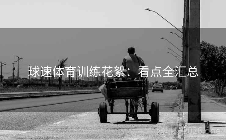 球速体育训练花絮：看点全汇总