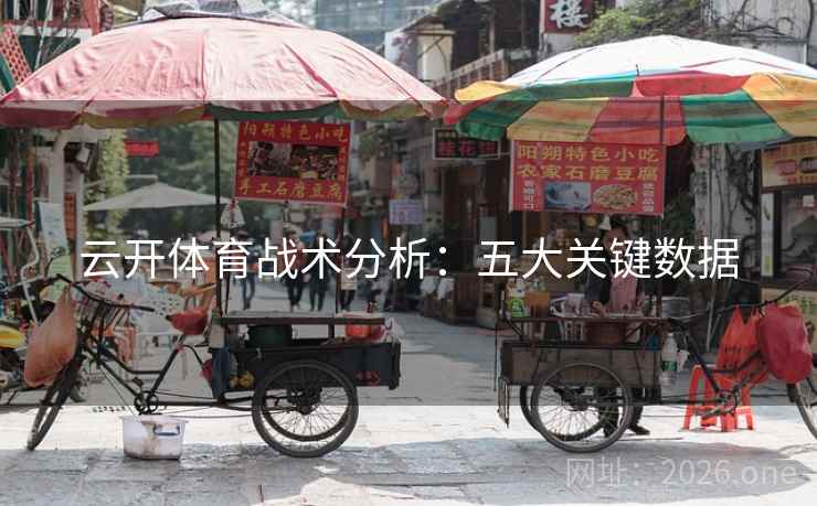 云开体育战术分析：五大关键数据