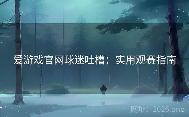 爱游戏官网球迷吐槽：实用观赛指南