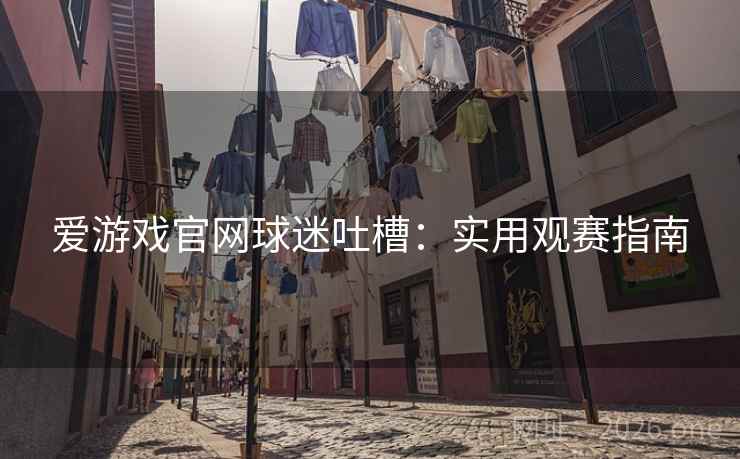 爱游戏官网球迷吐槽：实用观赛指南  第2张