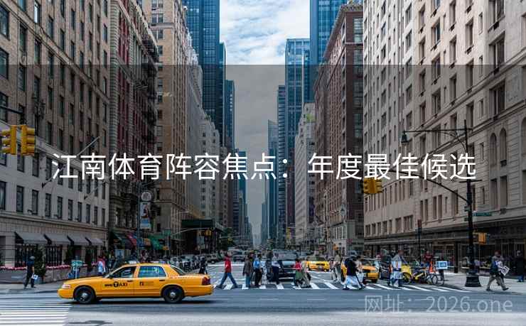 江南体育阵容焦点：年度最佳候选  第2张