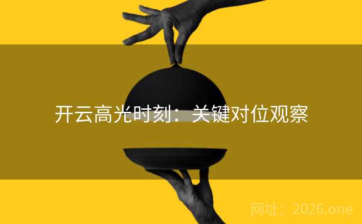 开云高光时刻：关键对位观察  第2张