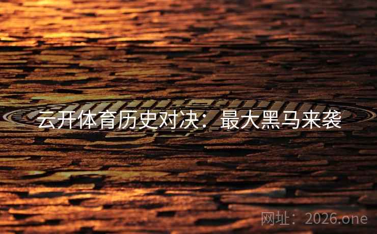 云开体育历史对决：最大黑马来袭  第2张