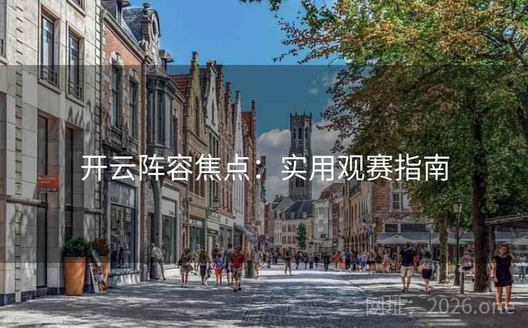 开云阵容焦点：实用观赛指南  第2张