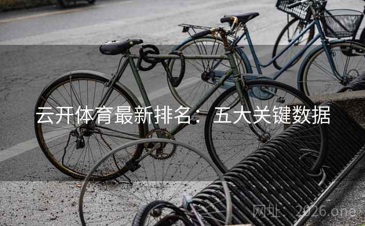 云开体育最新排名：五大关键数据