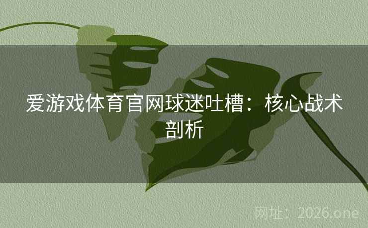 爱游戏体育官网球迷吐槽：核心战术剖析