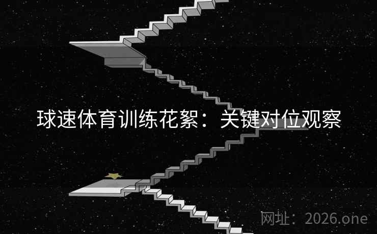 球速体育训练花絮：关键对位观察  第2张