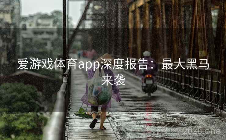 爱游戏体育app深度报告：最大黑马来袭  第2张