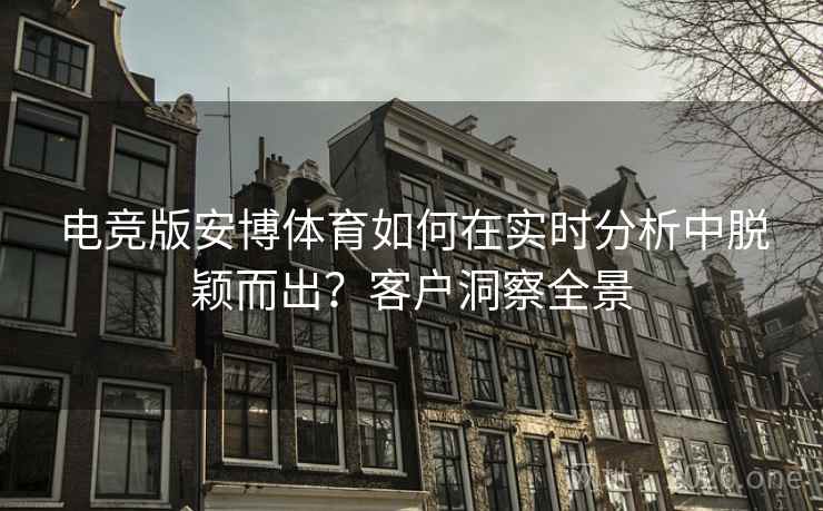 电竞版安博体育如何在实时分析中脱颖而出？客户洞察全景  第2张