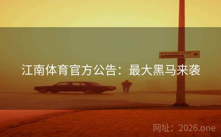 江南体育官方公告：最大黑马来袭  第2张
